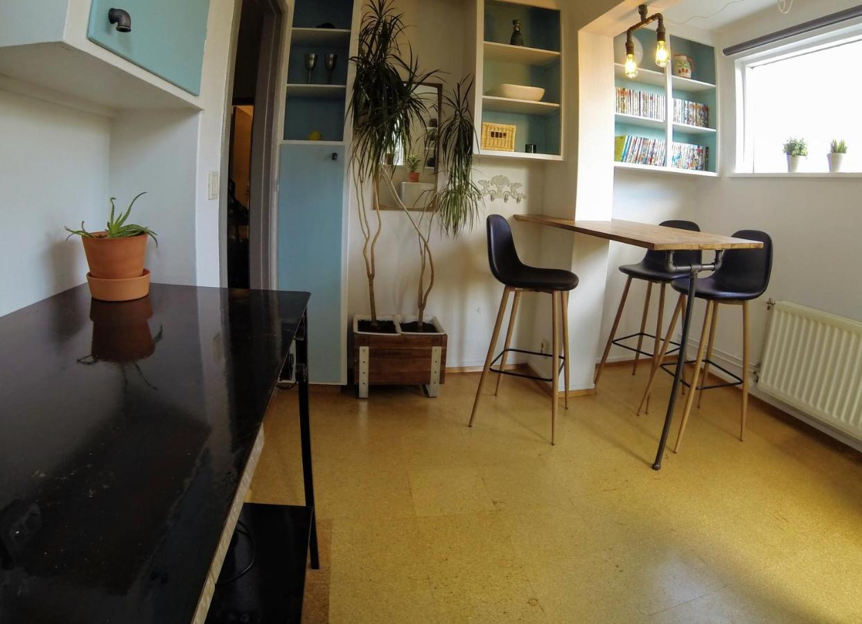 Skjolbraut - Cozy Apartment - Central Location - Free Parking - Close To A Public Swimming Pool And Sky Lagoon レイキャヴィーク エクステリア 写真